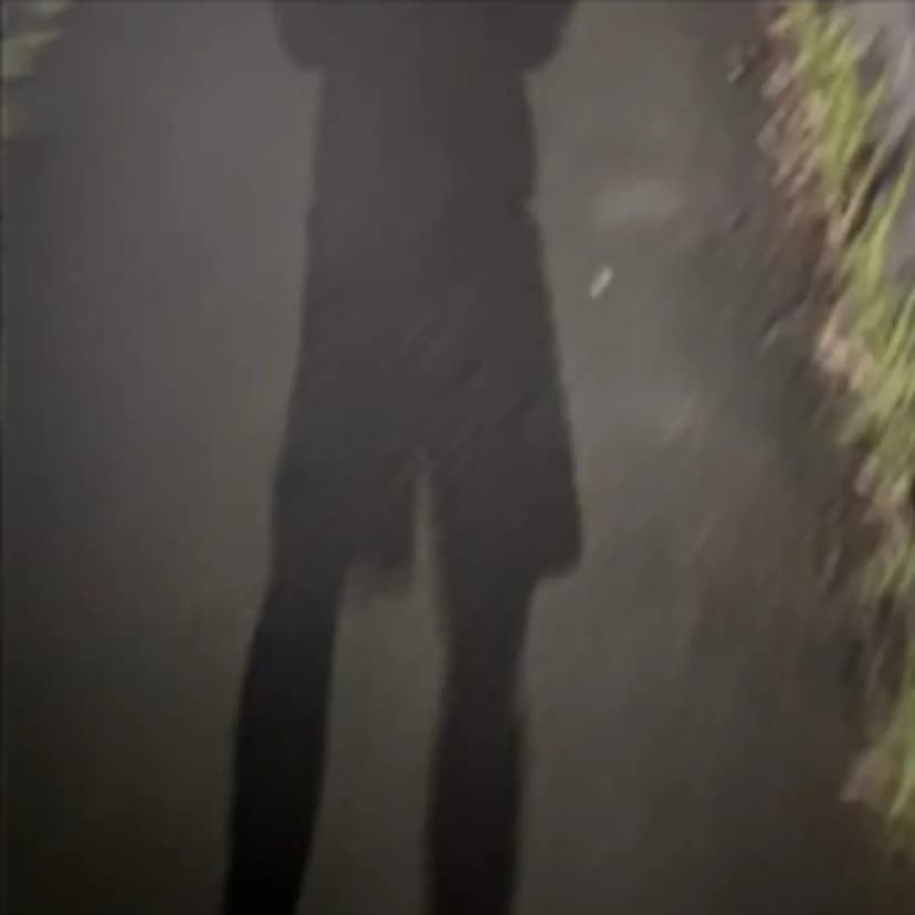 講師 fuyuu. の写真