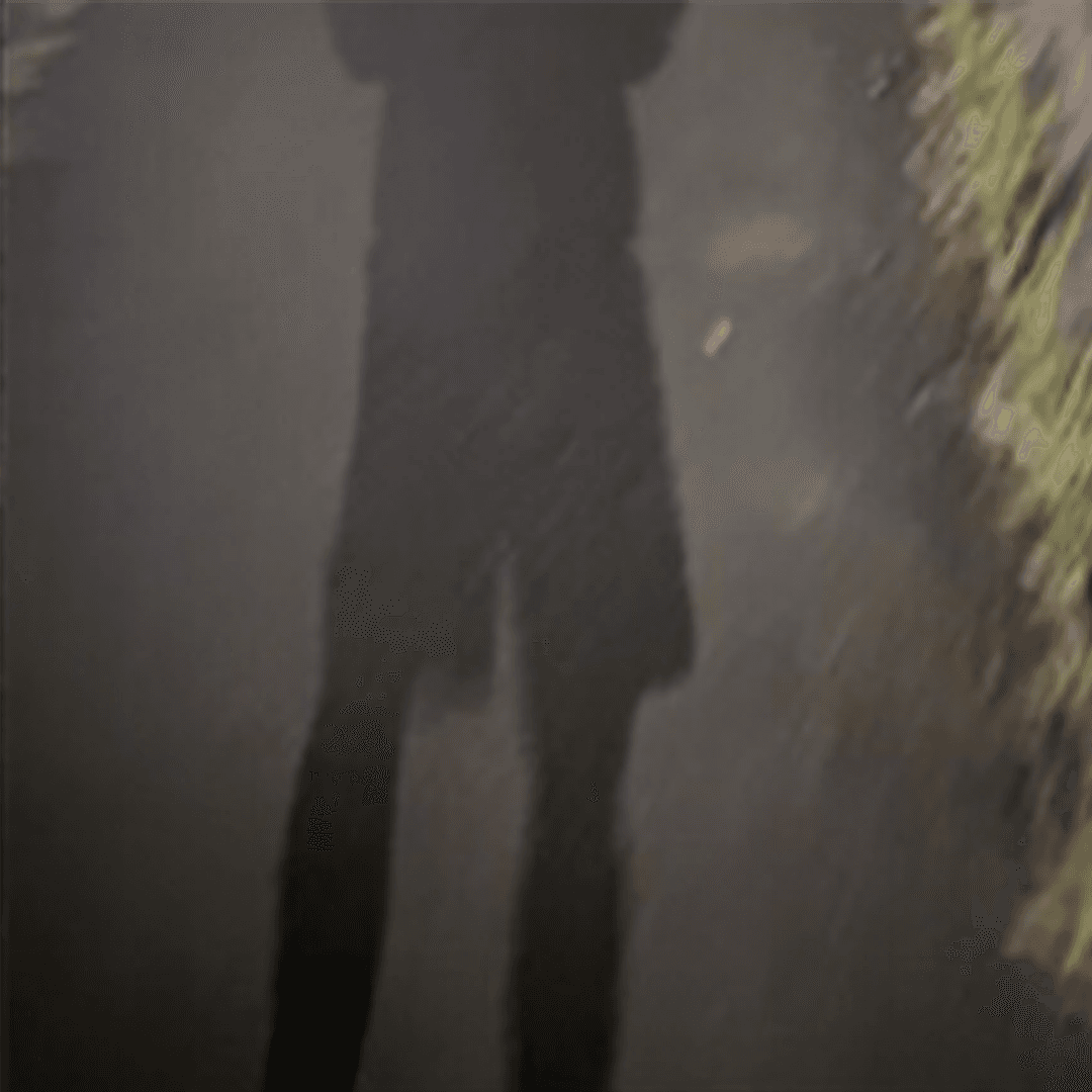 fuyuu.の講師写真